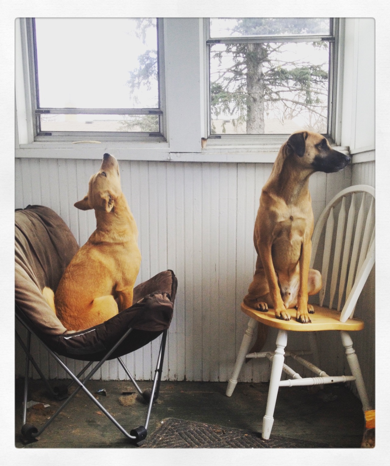streetdogmillionaires:  They went to art school. 