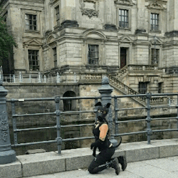 Doggy-Girl-Chilli: Arf Arf Arf!  Being A Happy Puppy Girl While Exploring Our Capital