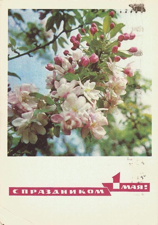 May 1 (Labour Day) postcard - 1968
