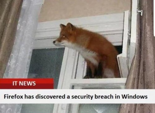 programmerhumour:Firefox has discovered a security breach in Windows