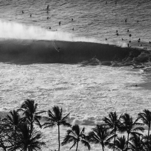 thedeathofcool: Let it go. #Hawaii #pipeline by @sebzanella