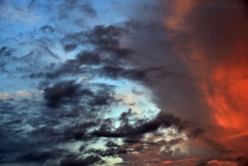 love-abia: Why so angry? by Abi Ashra (Tumblr)