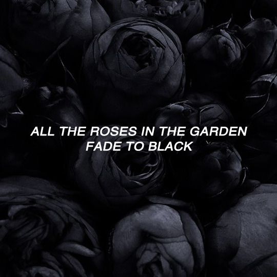 meandstherhythm:  Carly Rae Jepsen // Roses