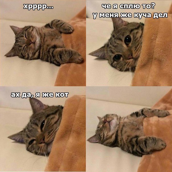 powerxdeath:  markv5: … 1. Zzzzzzz   2. Why am I sleeping?  I have much to do. 