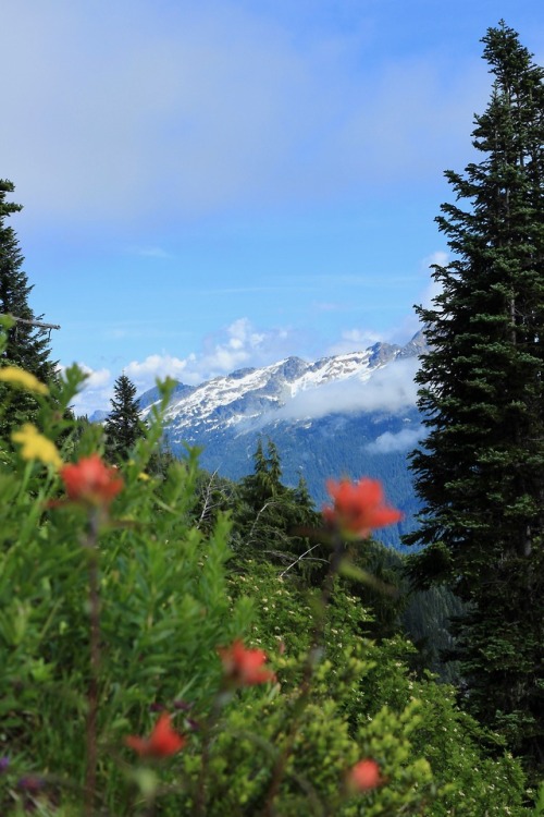 burningmine:Sourdough Mountain, July 2019