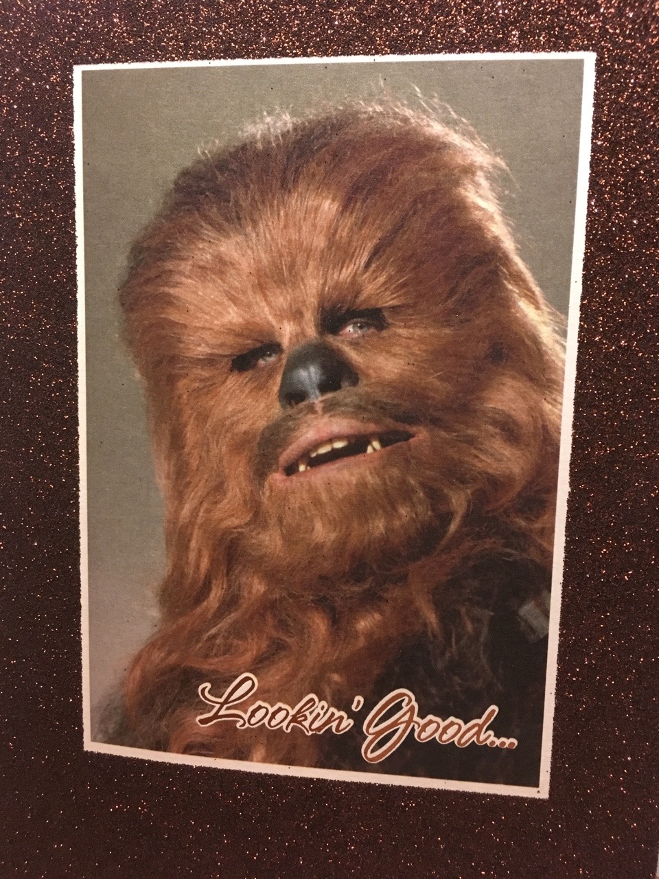 glumshoe:I visited my best friend last weekend and they had a Chewbacca birthday