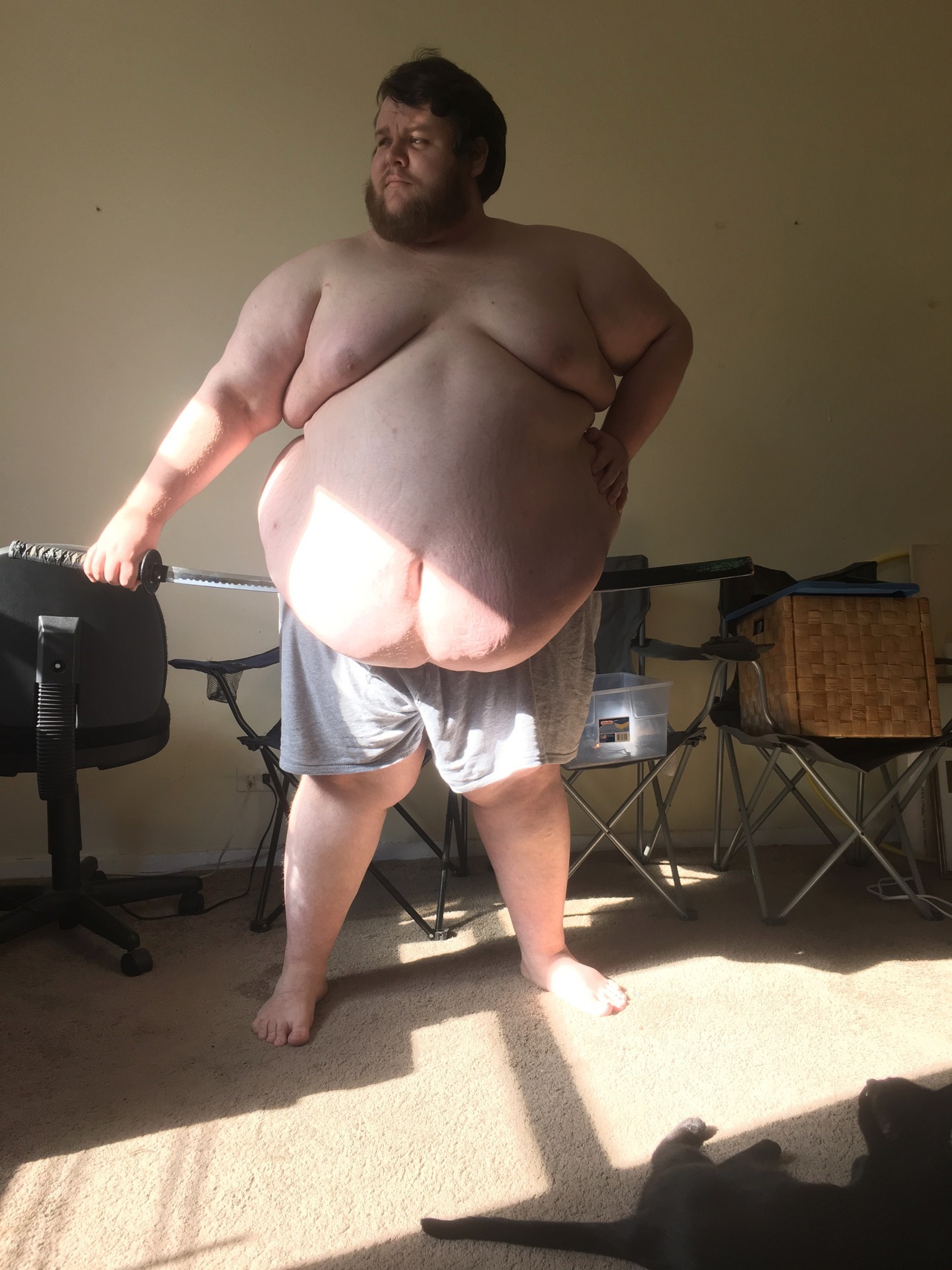 shiftshady:  fatbestfriend: Somebody asked if I could hide things under my belly