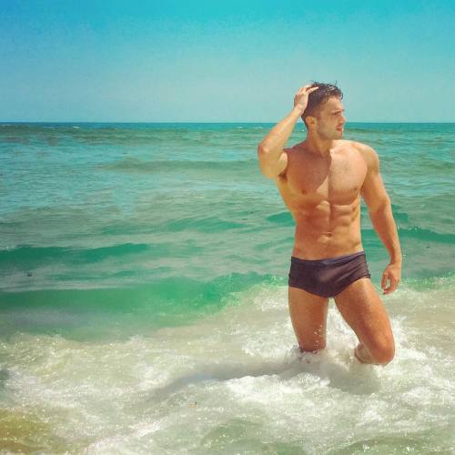 fagggotries:  Gustavo Naspolini @gustavonaspolini 