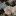 superringo:  hadeniikuze:  bonjourentrez:  dawnofthesecondday:  dawnofthesecondday: