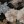 superringo:  hadeniikuze:  bonjourentrez:  dawnofthesecondday:  dawnofthesecondday: