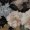 superringo:  hadeniikuze:  bonjourentrez:  dawnofthesecondday:  dawnofthesecondday: