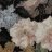 superringo:  hadeniikuze:  bonjourentrez:  dawnofthesecondday:  dawnofthesecondday: