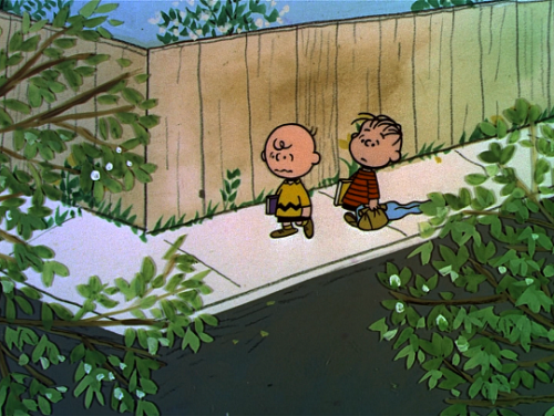 pierppasolini: Life is difficult, isn’t it, Charlie Brown? Yes, it is. But I’ve develope