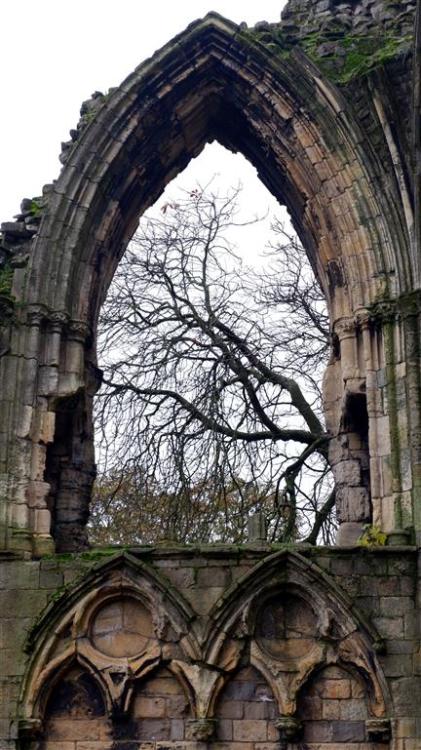 yorksnapshots:St Mary’s Abbey, York. England.