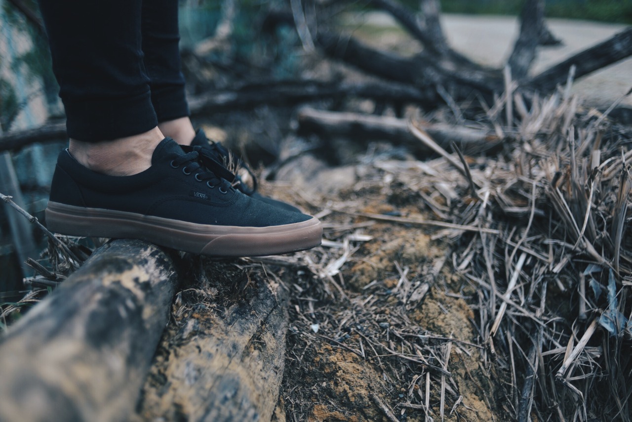 vans era black sneakers