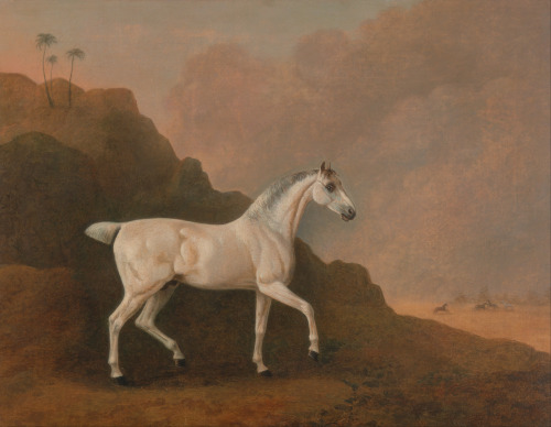 A Grey Arab Stallion in a Desert Landscape, John Boultbee, ca. 1790