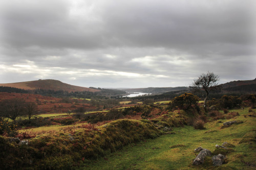 graymanphotography: stormy day overlooking Burrator resevoir, Dartmoor.