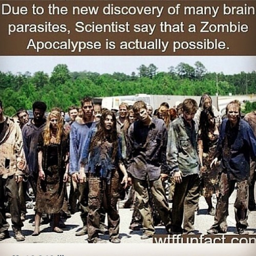 A Zombie apocalypse apocalypse can happen! Proof from your friends at ZRA. #zombies #zombie #apocaly