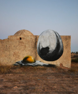 Huffingtonpost:roa In Tunisia And Brazil — New Homes For His Wildlife