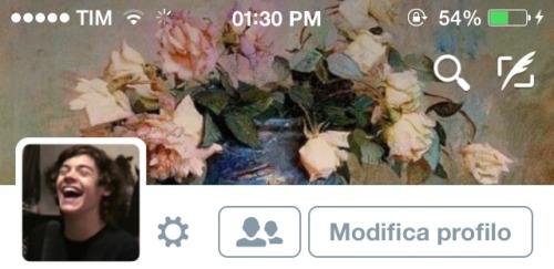 ୨୧˙˳⋆ harry styles layouts ⋆˳˙୨୧ • like or reblog if save. • don’t steal please, respect my work. • 