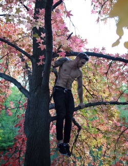 luz-natural:    My favourite piece of design? A tree. @guskenworthy by @nanuk_jf  