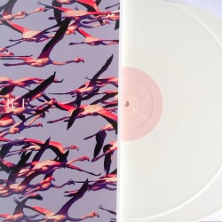 blackwaxway:Deftones Gore (limited edition