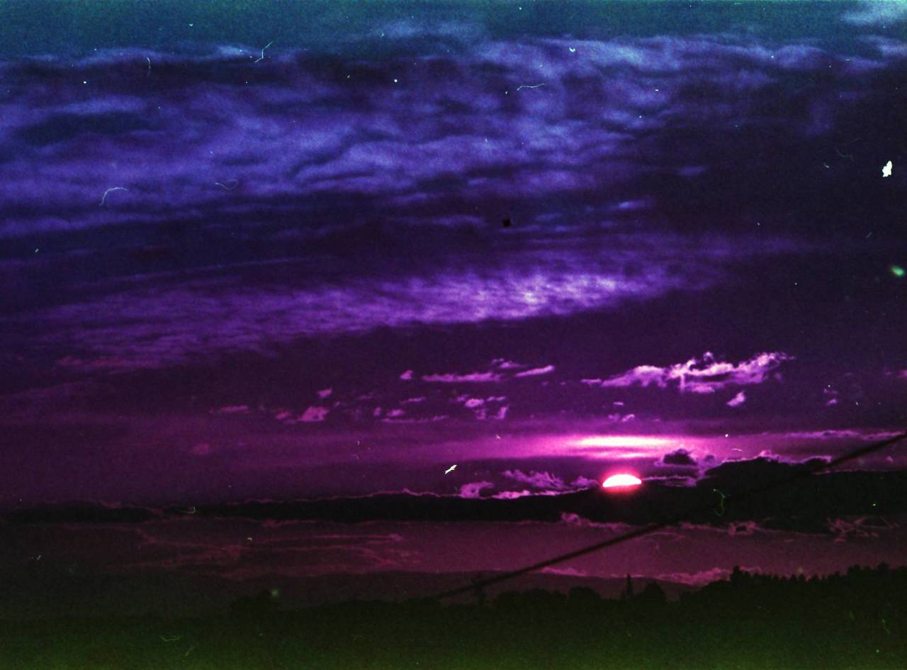 lomographicsociety:  Cast of Dark: Dusky Purple By now the Lomography site is like