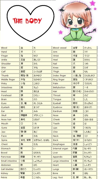 nanka-ne: masterkafreeton1115: これはうつくしい　（＾－＾） Maybe I’ll try to add some of these to my anki. 