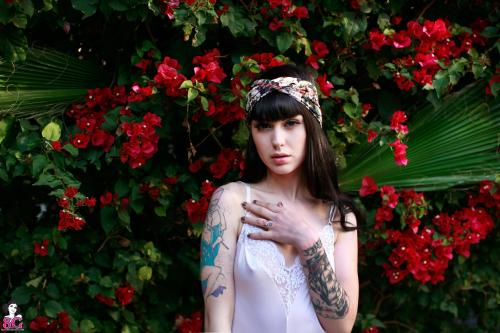 Porn Pics past-her-eyes:  Arwen Suicide  arwen.suicidegirls.com