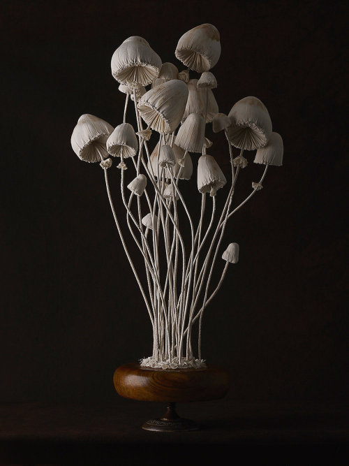 crossconnectmag: New Toadstool Sculptures Crafted From Vintage Textiles by Self-Taught Artist  