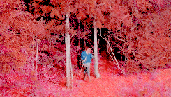 johnrsilver:  You know, I was thinking… back before we went out to the quarry.