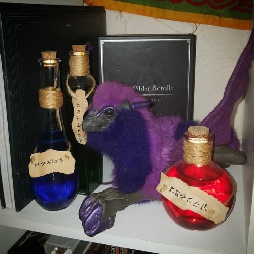 renniequeer:Alduin wouldn’t fit on the Skyrim shelf, so we put Travis the Griffin there instead.http