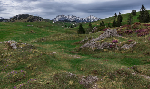 Velika Planina by happy.applewww.cerkniskojezero.si