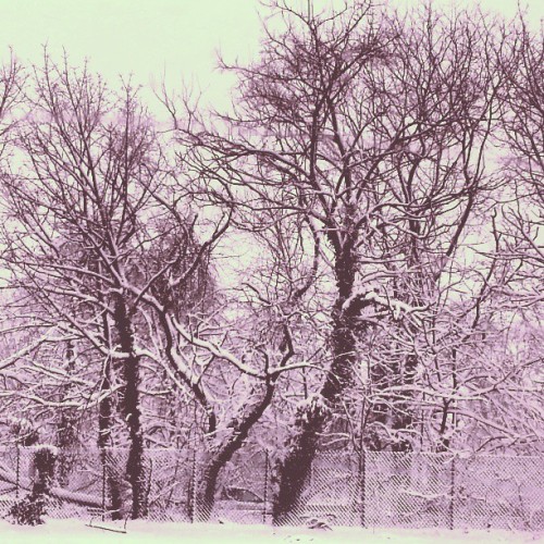 I fucking hate the snow. But this looks nice.