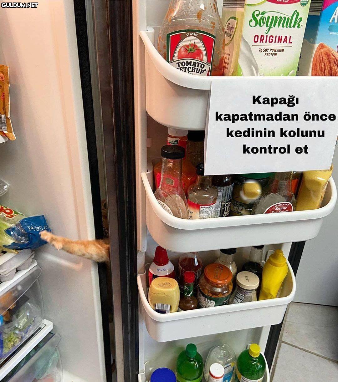 Kedisi olanlar da dikkat...