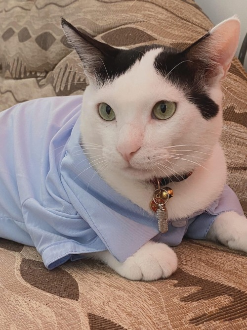 Emergency Need Of Funds For Tillys Care. Please Share Or Help If Youre Able To!