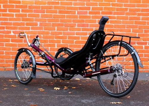 bike-challenge: prociclo: Performer TrikeX, a freshly developed tadpole. Looks promising. Source: 