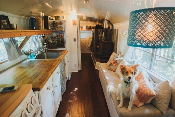 lady-duvaineth:  litbugi:  Another converted bus for a couple.  http://tinyhousetalk.com/young-couples-diy-school-bus-cottage-on-wheels/