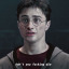 hesnotspiderpighesharryplopper