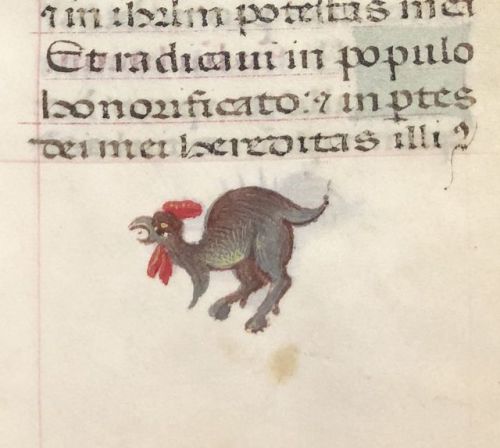 smithsonianlibraries: Caution: monsters in the margins! These little beasts lurk around the text of 