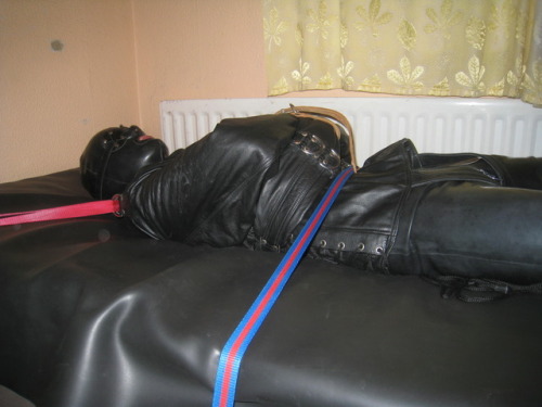 Porn photo northernleather:A gimp restrained