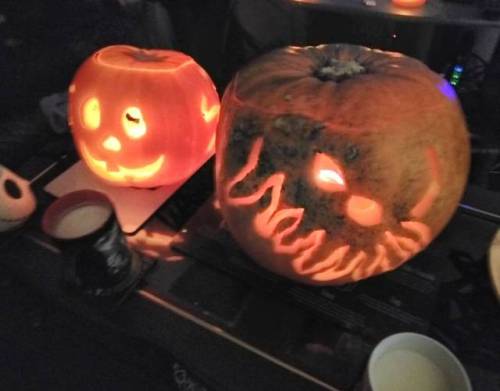 On the 15th day of Halloween I photographed two fresh carved pumpkins #happyhalloween #halloween #pu