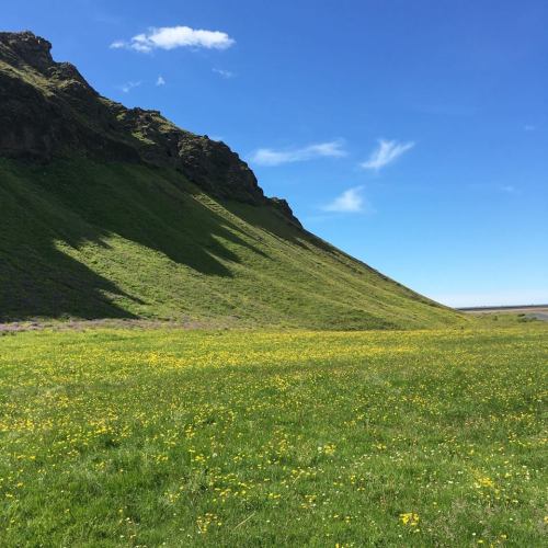 yikeshenna:Iceland was a dream