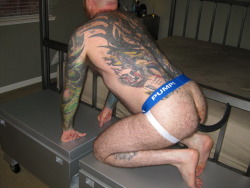 pupsunderwearpics:  Pup in Pump Jock