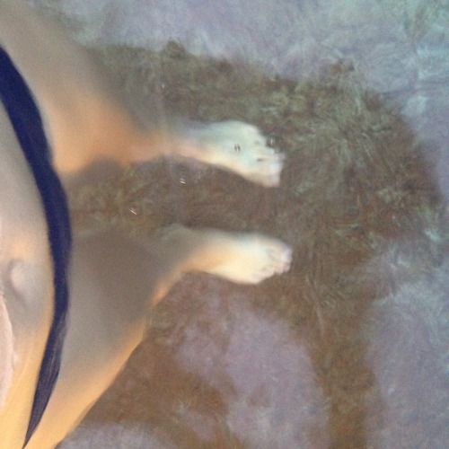 ayokla:  water