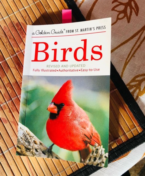 Birb.