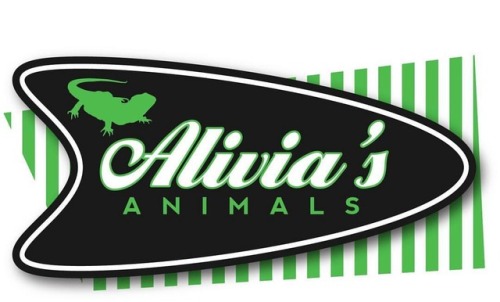 Logo I made for Alivia Warner.  #beardeddragon #beardeddragonbreeder #petlogo #logo www.inst