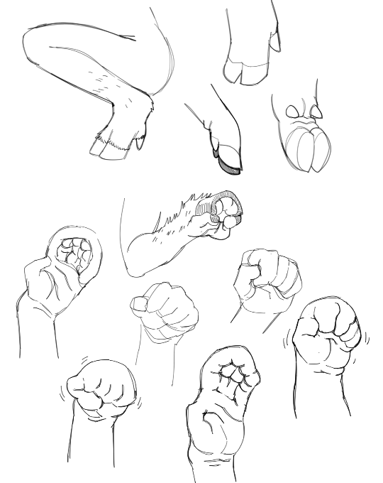 In the later half of my current sketchbook I’ve been doodling a lot of paws and