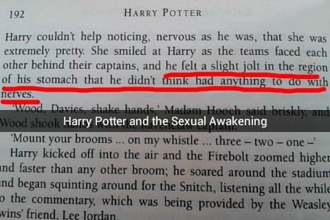 doloresjaneumbridge:  Some snaps from my Harry Potter Reread - Part 1 [Part 2] 