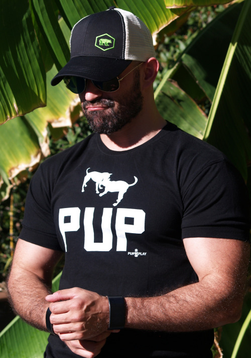 ajaxx63:  Pup Athletic Fit AS84 available from http://www.ajaxx63.com